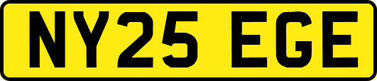 NY25EGE