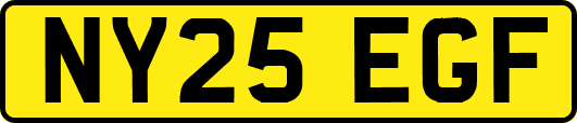NY25EGF