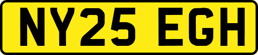NY25EGH