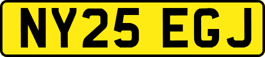 NY25EGJ