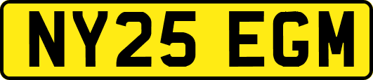 NY25EGM