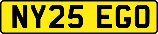 NY25EGO
