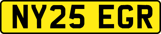 NY25EGR