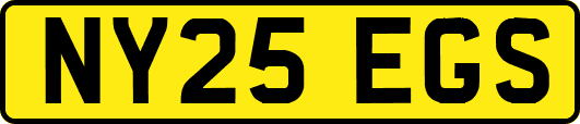 NY25EGS
