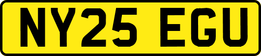 NY25EGU