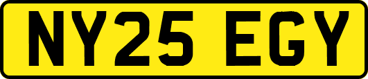 NY25EGY