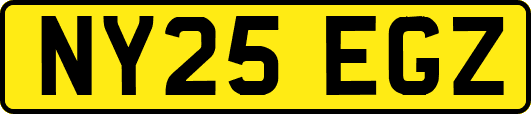NY25EGZ