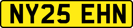 NY25EHN