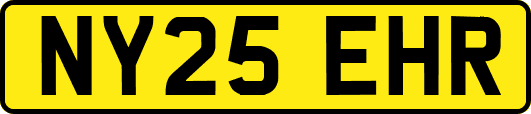 NY25EHR