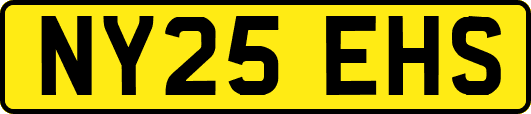 NY25EHS