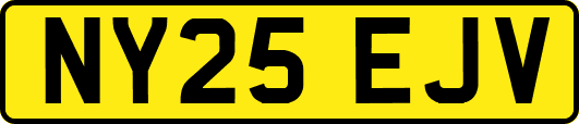 NY25EJV