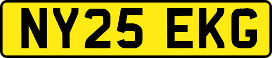 NY25EKG