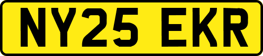 NY25EKR