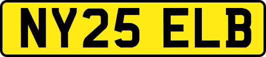 NY25ELB