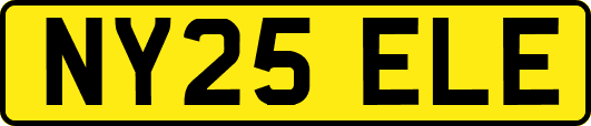 NY25ELE