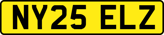 NY25ELZ