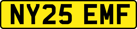 NY25EMF