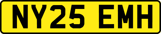 NY25EMH