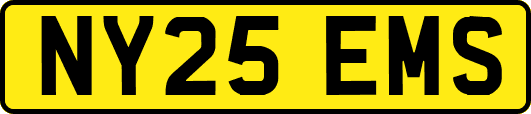 NY25EMS