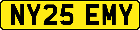 NY25EMY