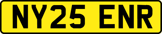 NY25ENR