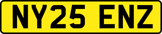 NY25ENZ