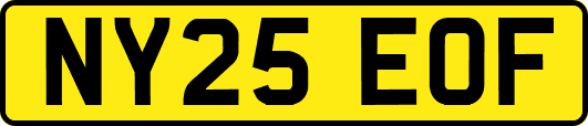 NY25EOF