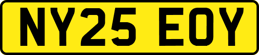 NY25EOY