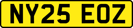 NY25EOZ