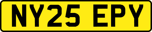 NY25EPY