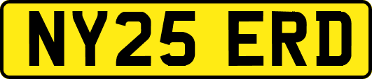 NY25ERD