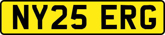 NY25ERG