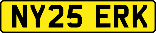 NY25ERK