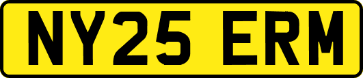 NY25ERM