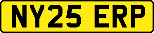 NY25ERP