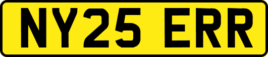 NY25ERR