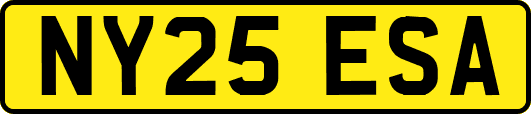 NY25ESA
