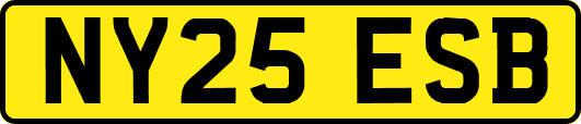 NY25ESB