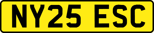 NY25ESC