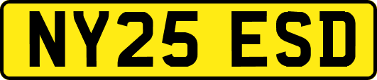 NY25ESD