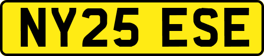 NY25ESE