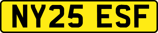NY25ESF