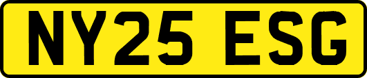 NY25ESG