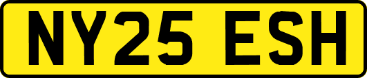 NY25ESH