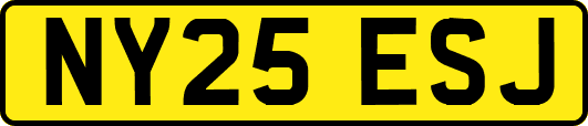NY25ESJ