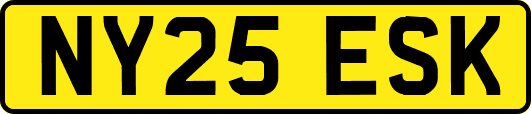 NY25ESK