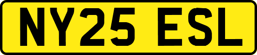 NY25ESL