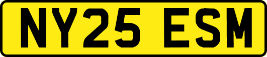 NY25ESM