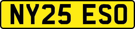 NY25ESO