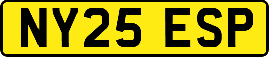 NY25ESP
